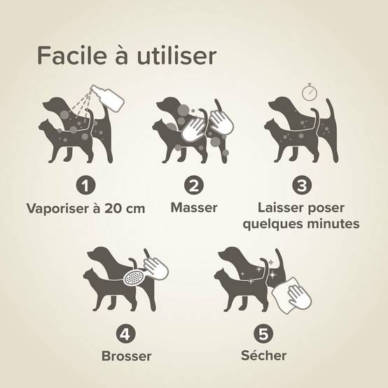 Shampooing sec Premium Beaphar pour chat : 200 ml BEAPHAR - Image 5