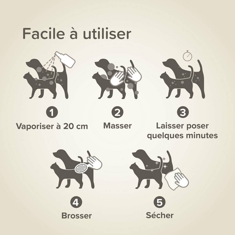Shampooing sec Premium Beaphar pour chat : 200 ml BEAPHAR - Image 5