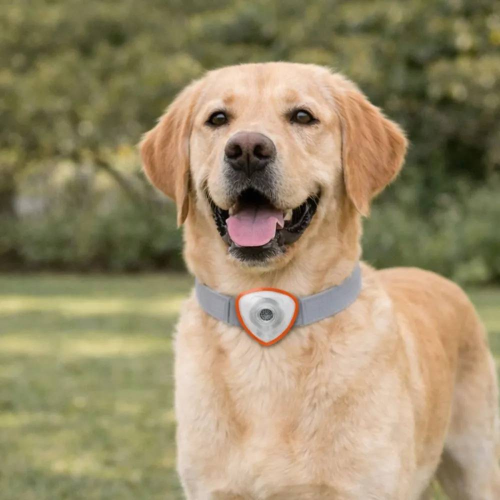 Autre - Répulsif électronique anti tiques et puces pour chien et chats orange - Image 1