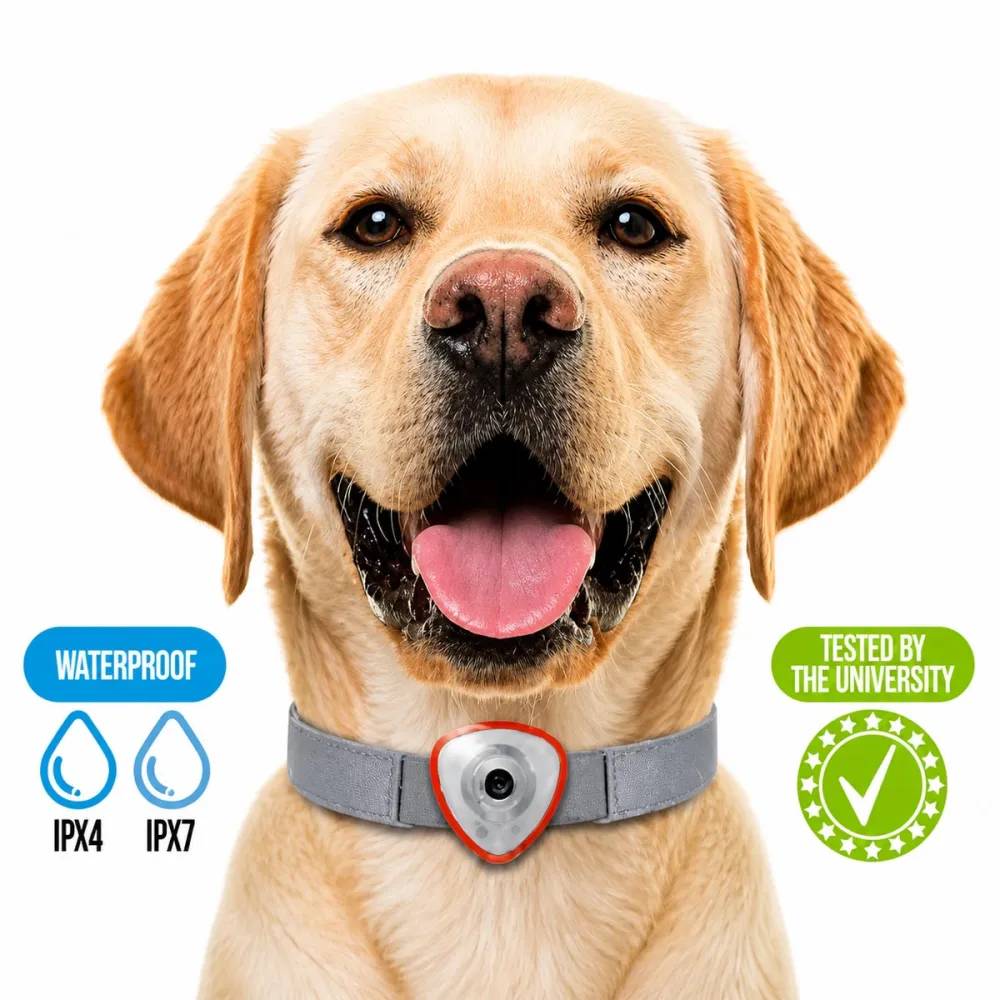 Autre - Répulsif électronique anti tiques et puces pour chien et chats orange - Image 6