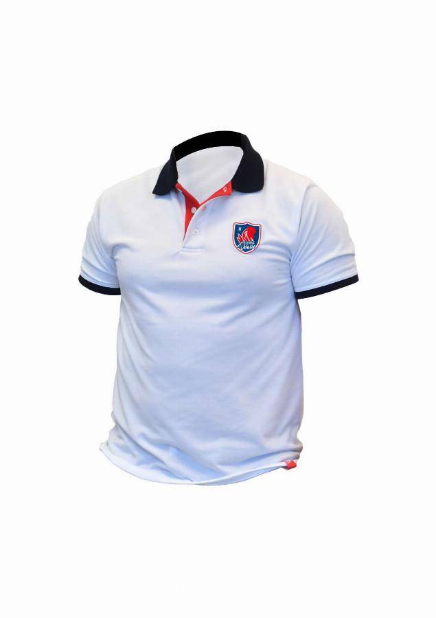Polo manches courtes - TRICOTS BONNEMAILLE - France Barjo Bleu T.M - Image 2