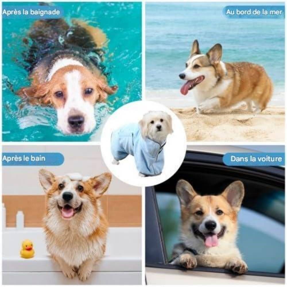 Peignoir Microfibre Bleu Pour Petit Chien - M - Image 3