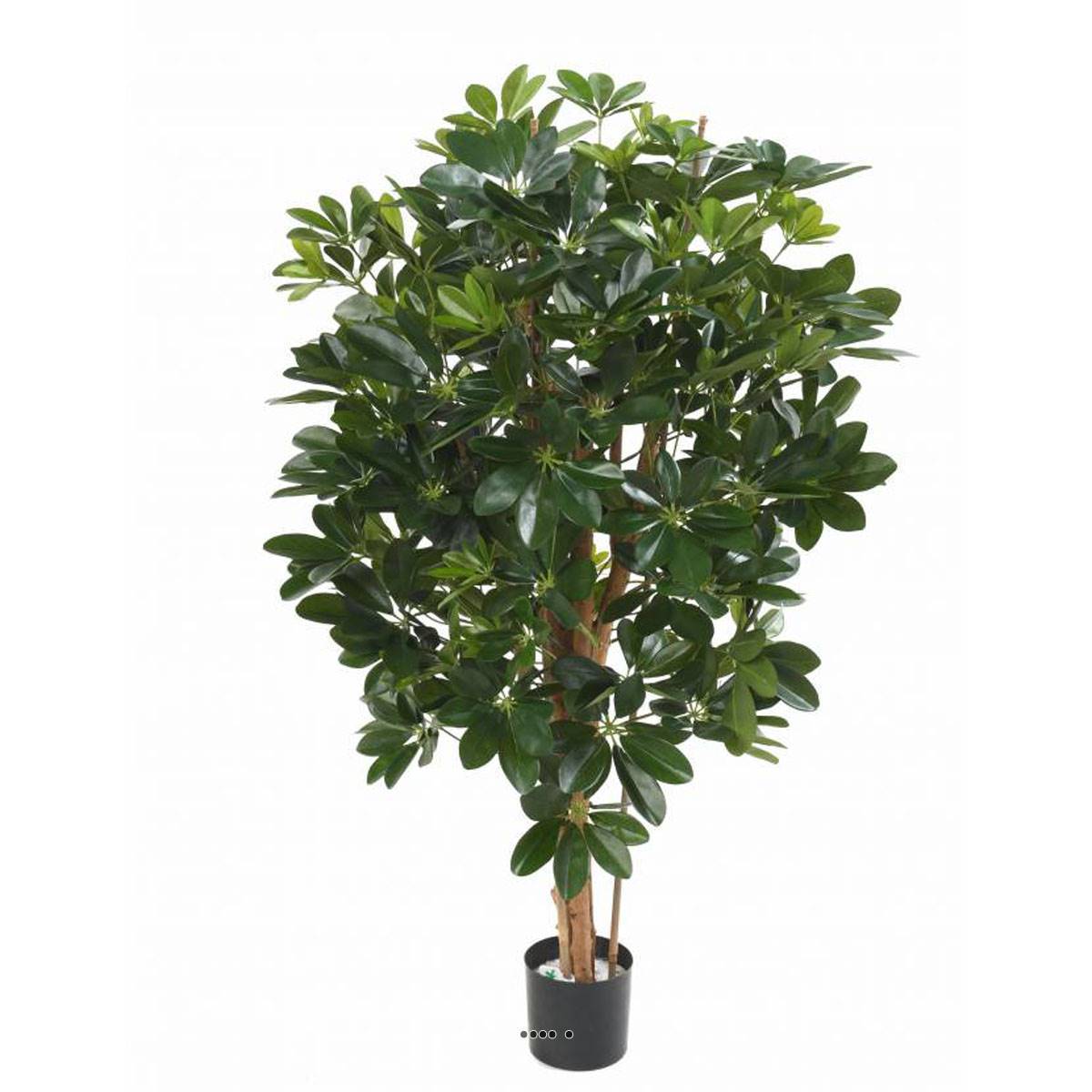 Artificielles - Superbe schefflera artificiel en pot multitroncs vert H 110 cm Vert - dimhaut: H 110 cm - couleur: Vert