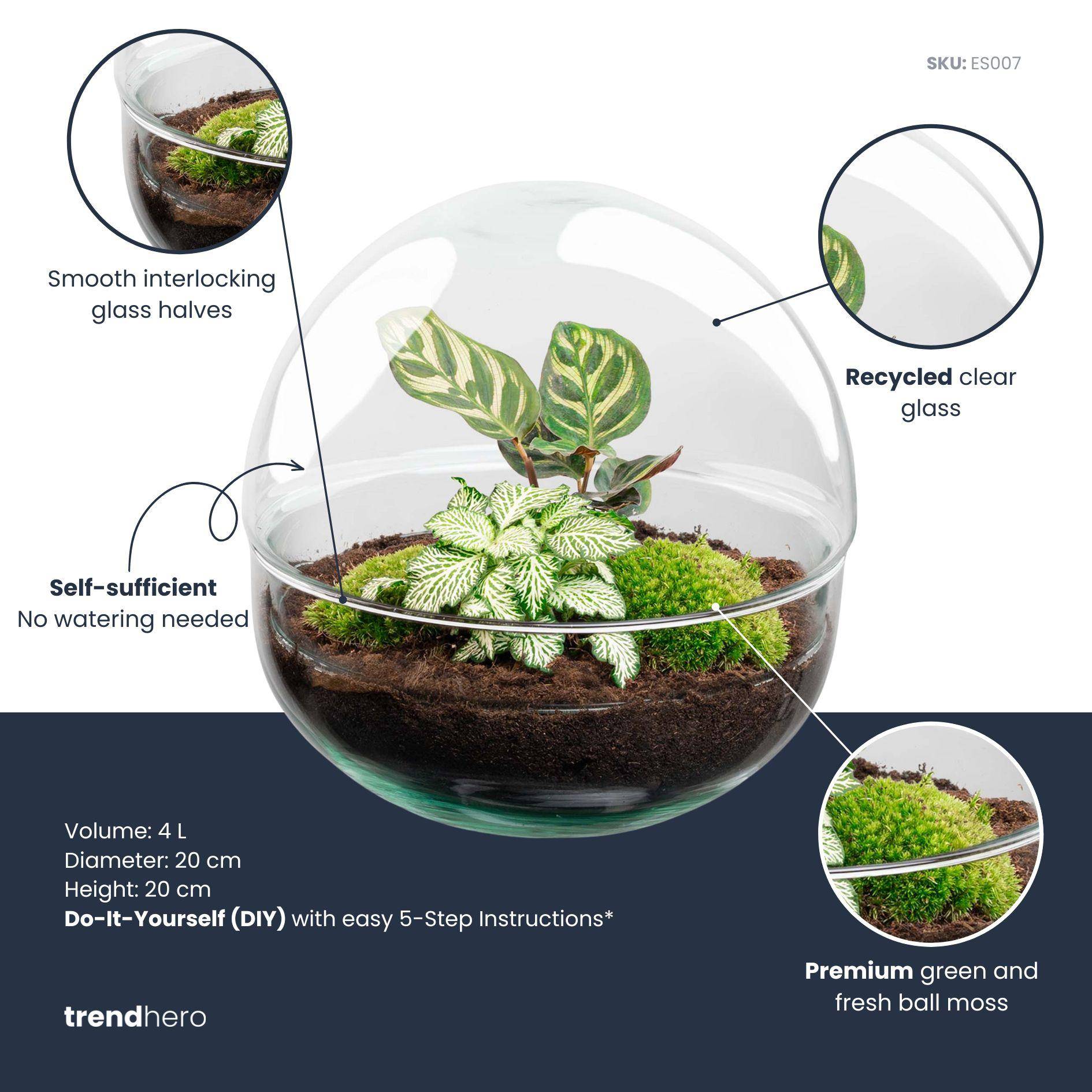 Kit Terrarium Diy - D20 H20cm - Image 2