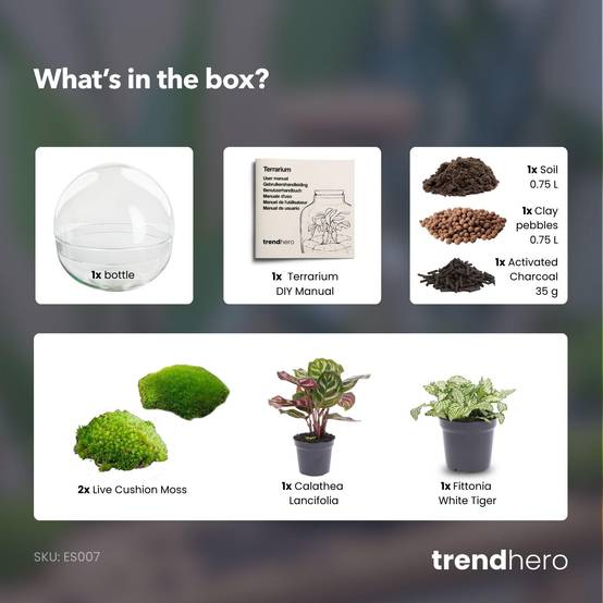 Kit Terrarium Diy - D20 H20cm - Image 3