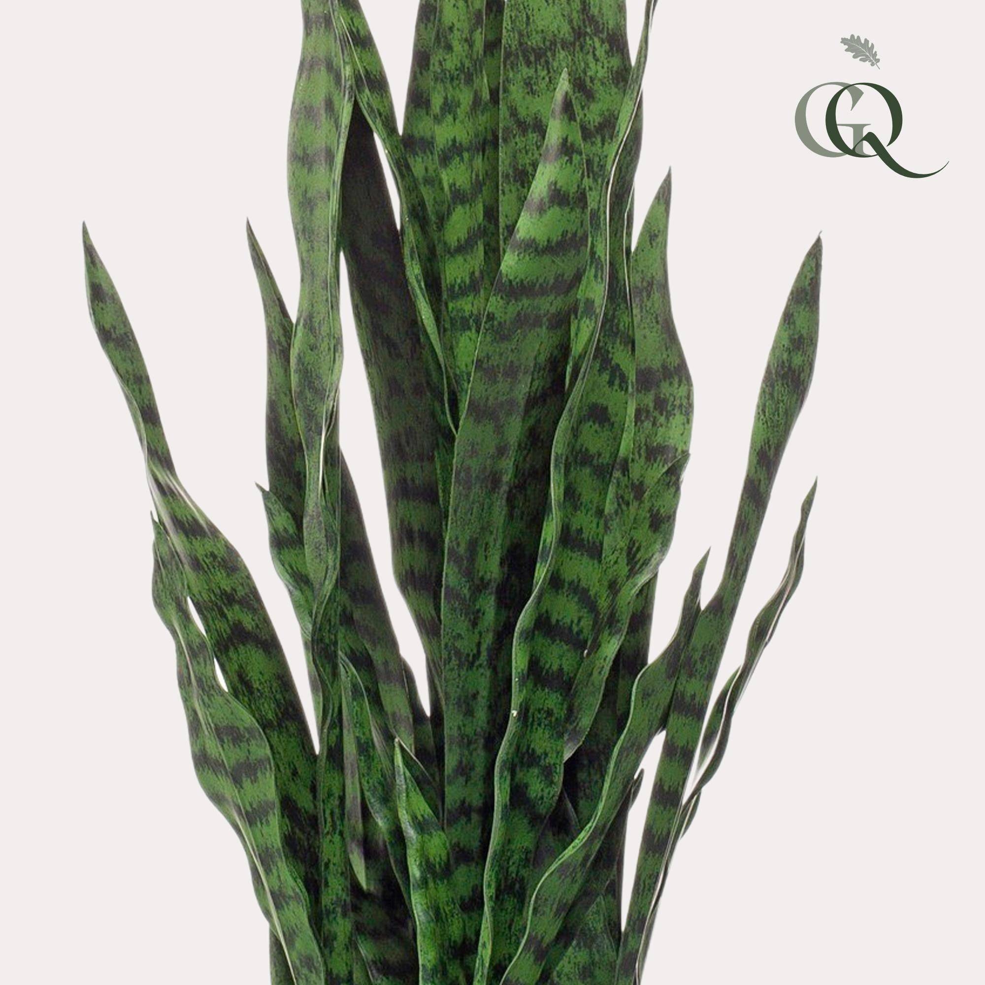 La Green Touch - Sanseveria Black Coral plante artificielle - h97cm, Ø12cm- La Green Touch - Imagen 2