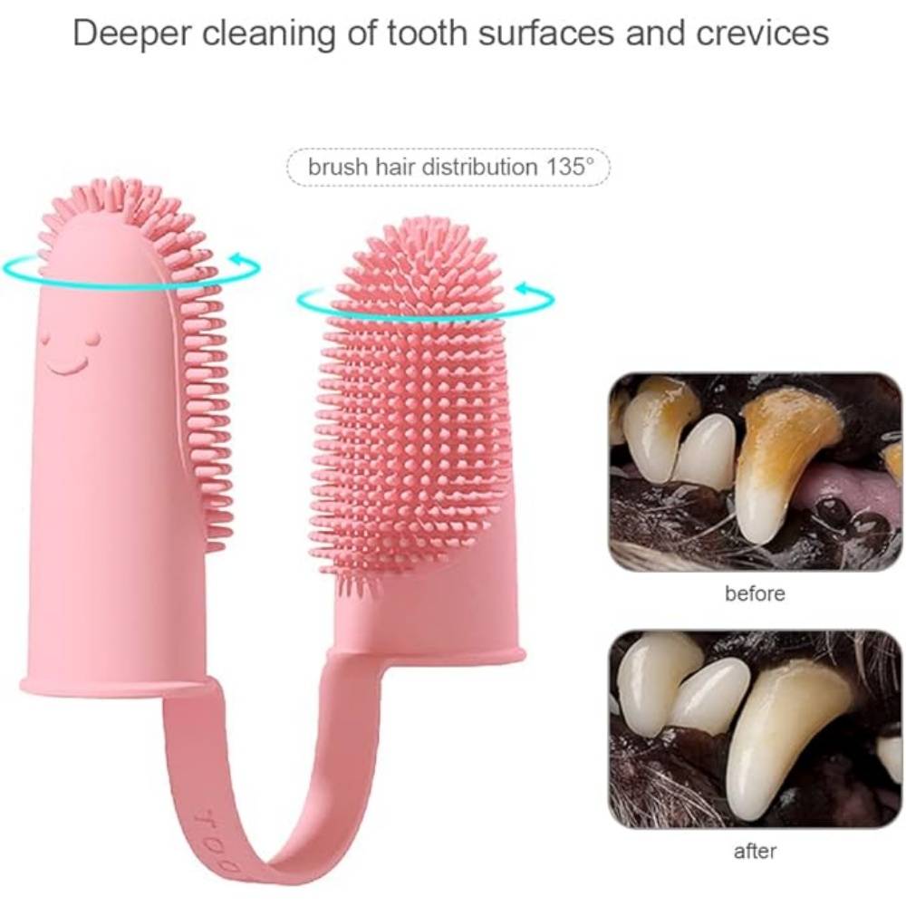 Lot De 10 Brosse À Dents Pour Chien Et Chat DtopbuyAge - Image 3