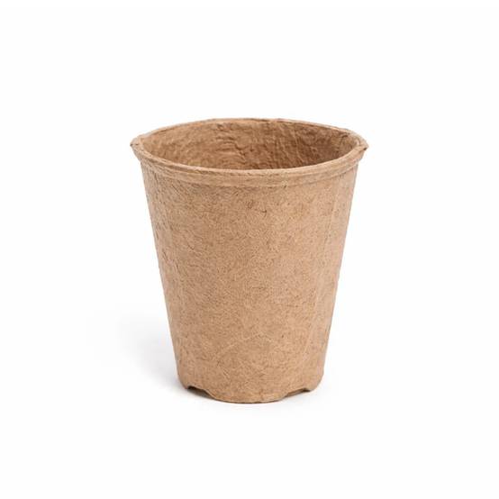 Lot de 60 Pots Biodégradables Ronds Ø6cm pour Semis et Culture - Image 3