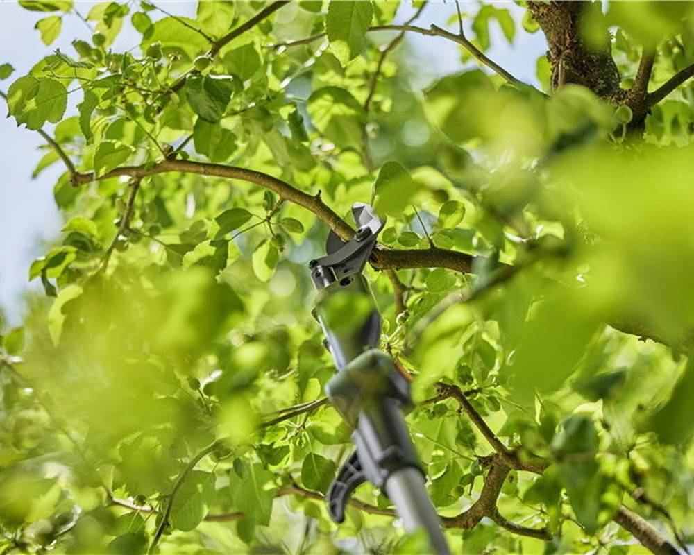 Gardena - Coupe-branches HighCut 250/18V P4A sur batterie - Coupe Ø 28 mm - L. 2557 mm Gardena - Imagen 3
