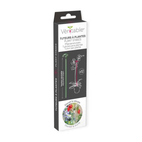 Veritable - Kits 12 tuteurs en fibre de verre (18 à 36 cm) - Véritable - Imagen 2
