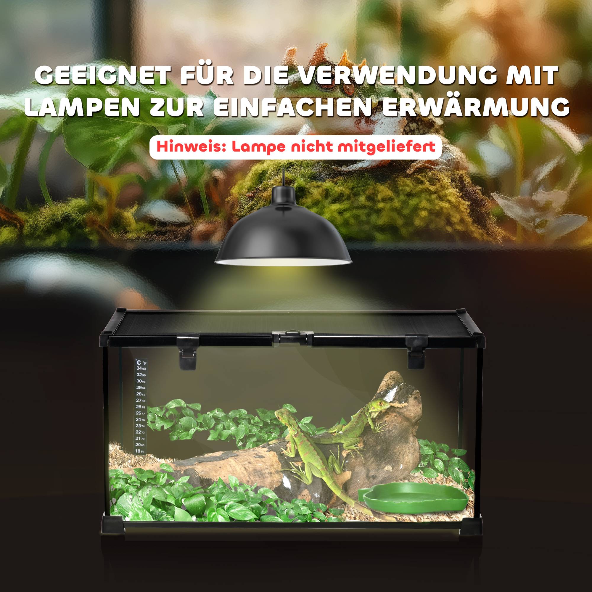 ComfortXL - Terrarium Reptiles Verre 50x30x25cm Aéré Thermomètre Lézard Tortue Noir - ComfortXL Pet Living - Image 7