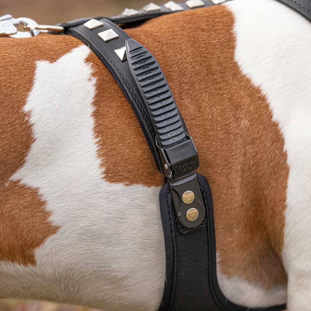 Ferplast - Harnais pour Chiens GIOTTO LUXOR MEDIUM, en Cuir Véritable avec Clous Argentés - Imagen 5