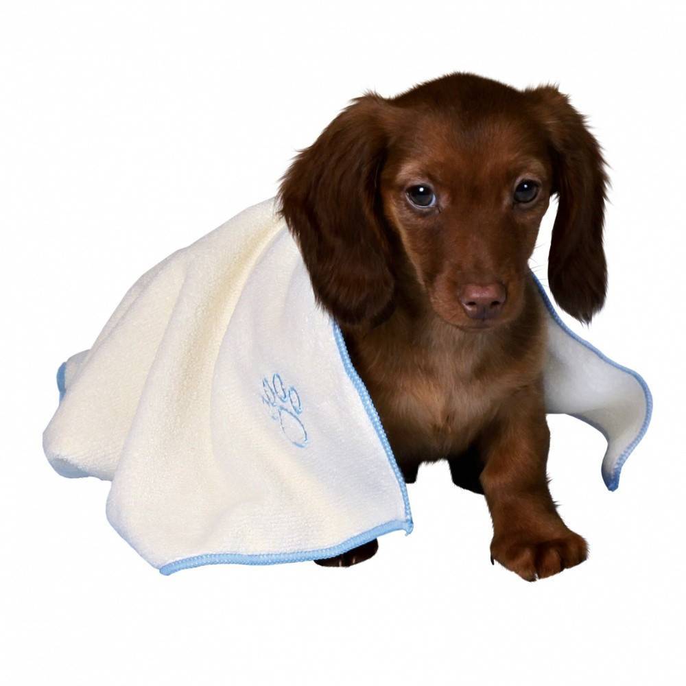 Trixie - Trixie - Set pour chiots bleu - Imagen 2