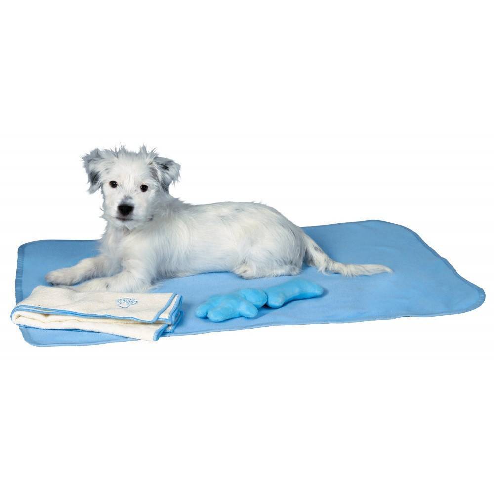 Trixie - Trixie - Set pour chiots bleu - Imagen 1
