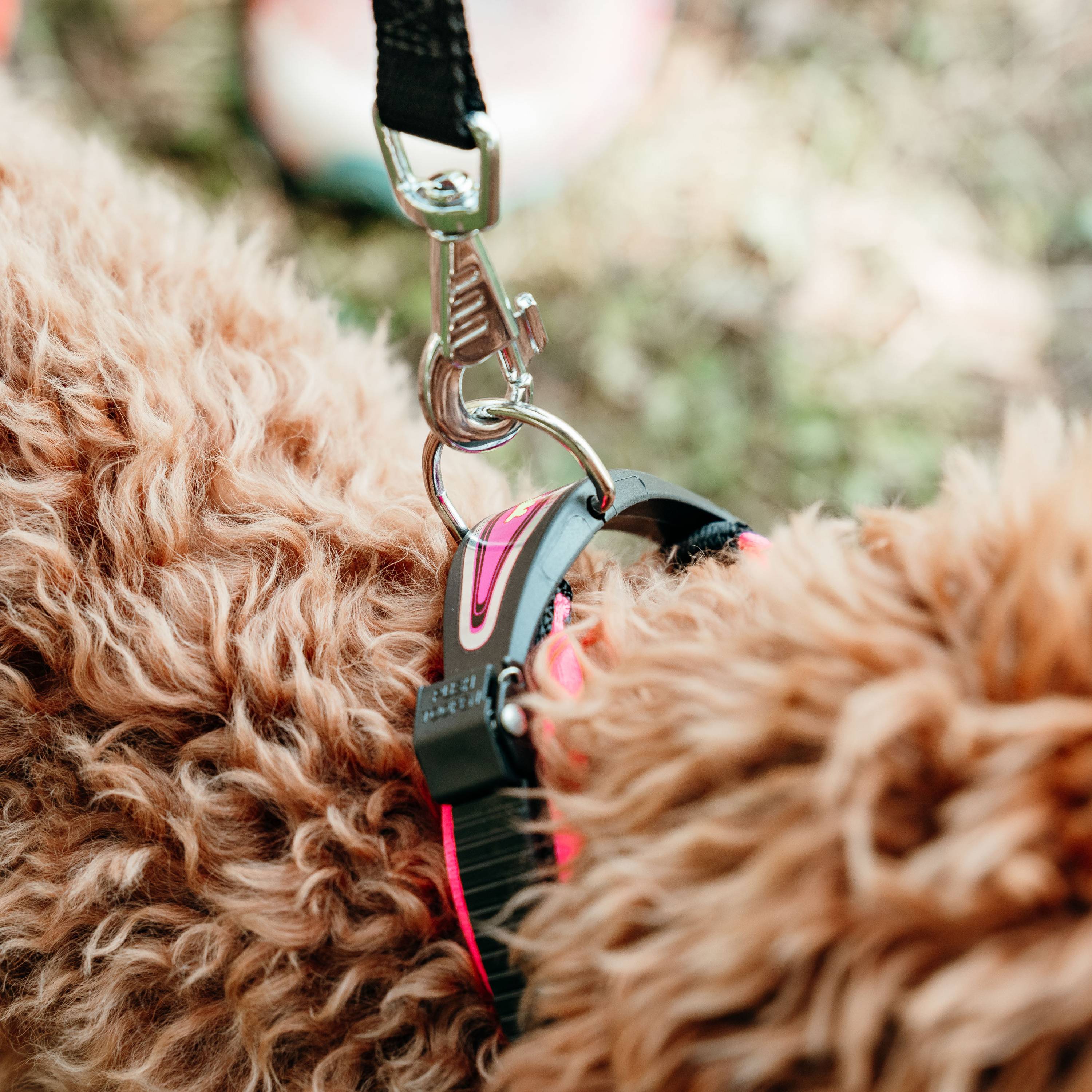 Ferplast - Collier Ergonomique pour Chiens ERGOFLUO C15/33 avec Rembourrage et Fermeture à Micro-régulation - Imagen 5