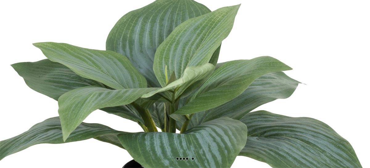 Artificielles - Hosta artificiel en pot H 20 cm D 30 cm Large feuille factices Vert - couleur: Vert - Imagen 3