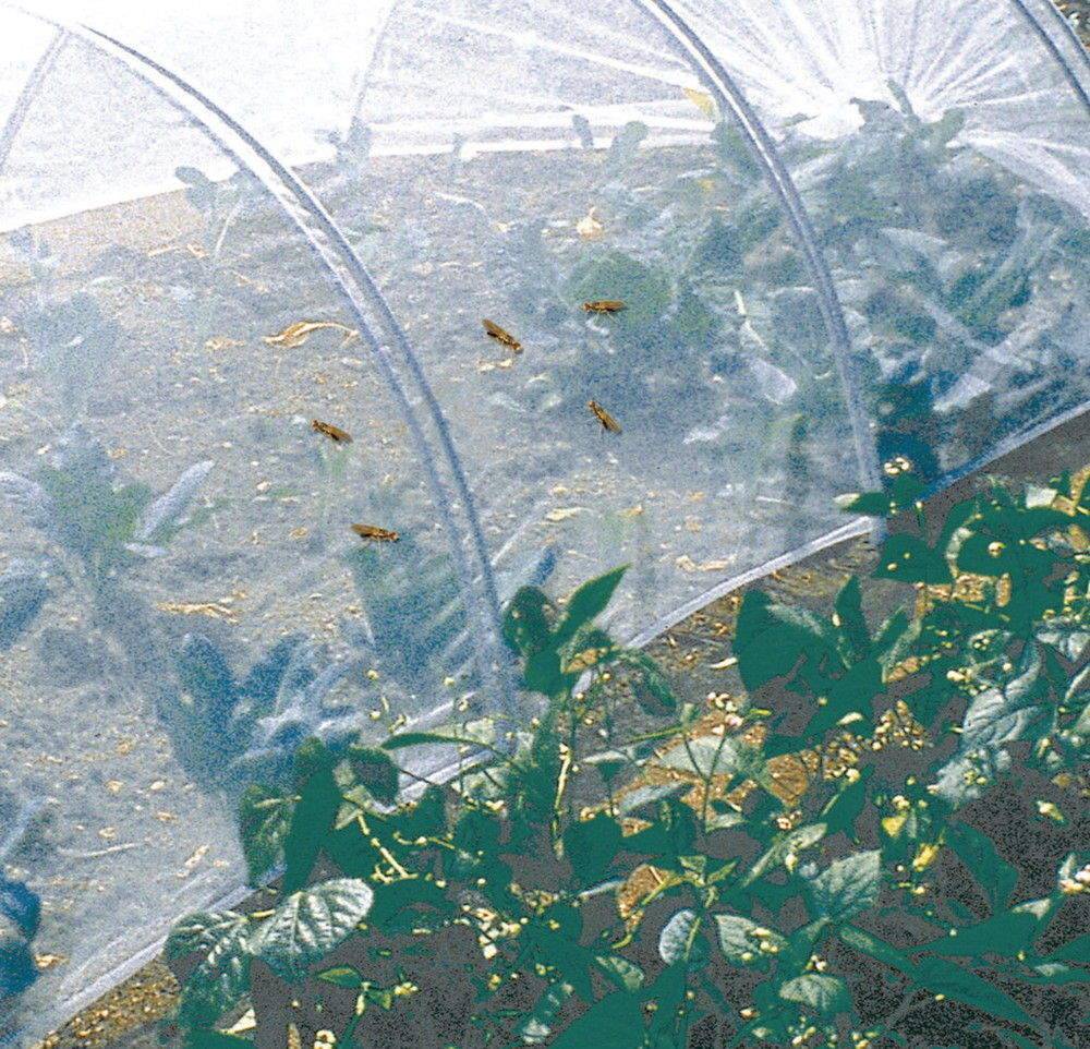 Nortène - Malla anti-insectos Biocontrol en poliéster - 2 x 100 m - Blanco Nortene - Imagen 2