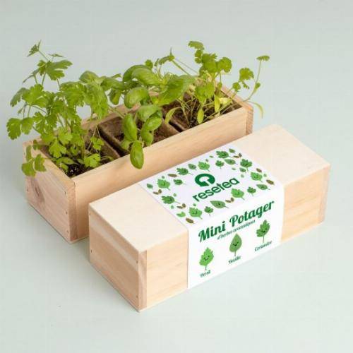 Kit mini potager légumes et herbes aromatiques - Herbes aromatiques - Imagen 4