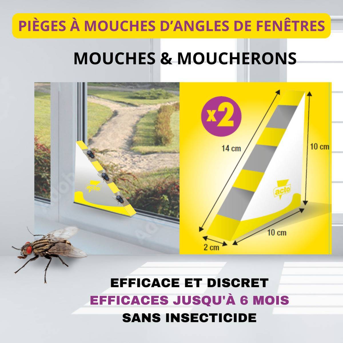 Acto - Acto Attrapes mouches - Piège à glu de fenêtre - Imagen 5