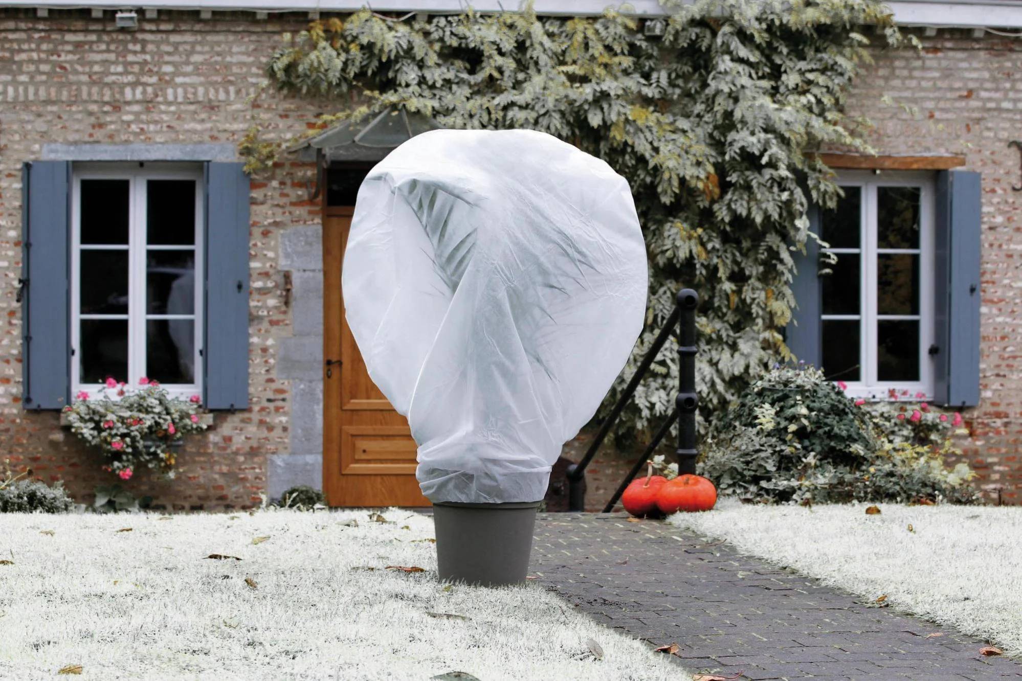 Nortène - Voile d'hivernage NORTENE Wintertex l.2 x H.5 m 30 g/m² - Image 1