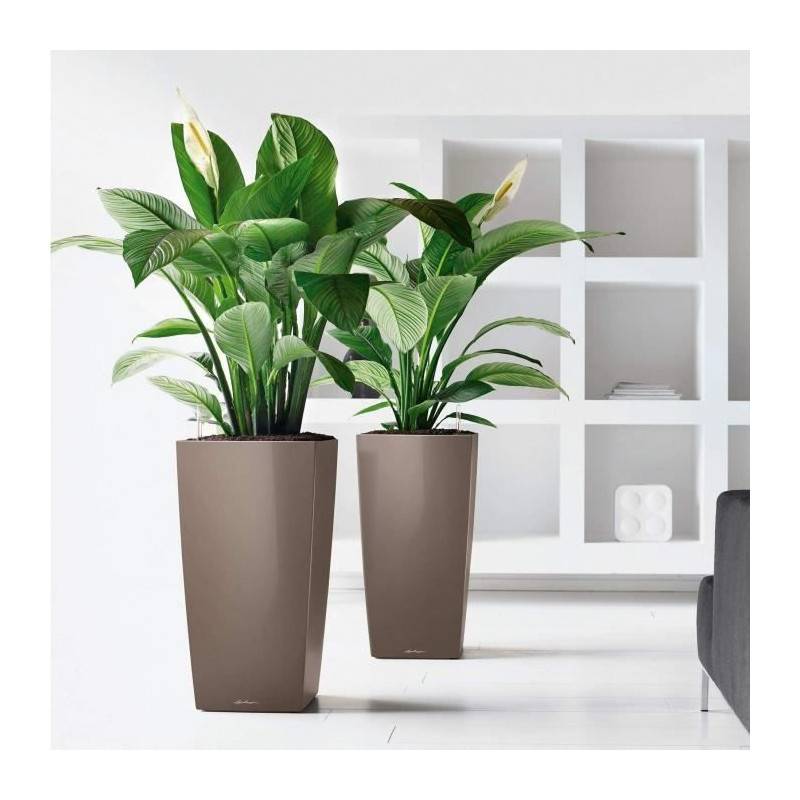 Lechuza - Pot De Fleur Lechuza Cubico Premium 50 - Kit Complet, Rouge Scarlet Brillant - Imagen 4