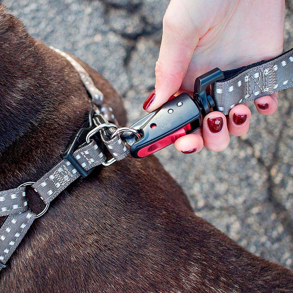 Ferplast - Harnais pour Chiens CRICKET LARGE, Résistant, Rembourré et Réglable - Imagen 6
