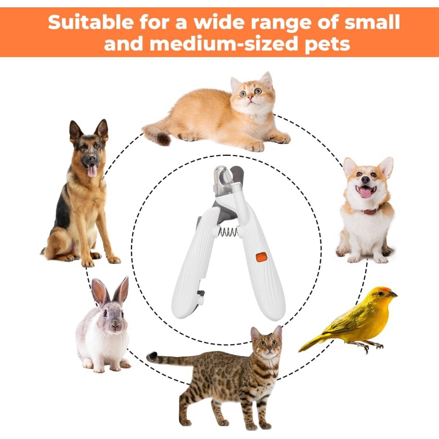 DtopbuyAge - Coupe-Ongles LED pour Chien et Chat - Sécurité et Précision DtopbuyAge - Image 5
