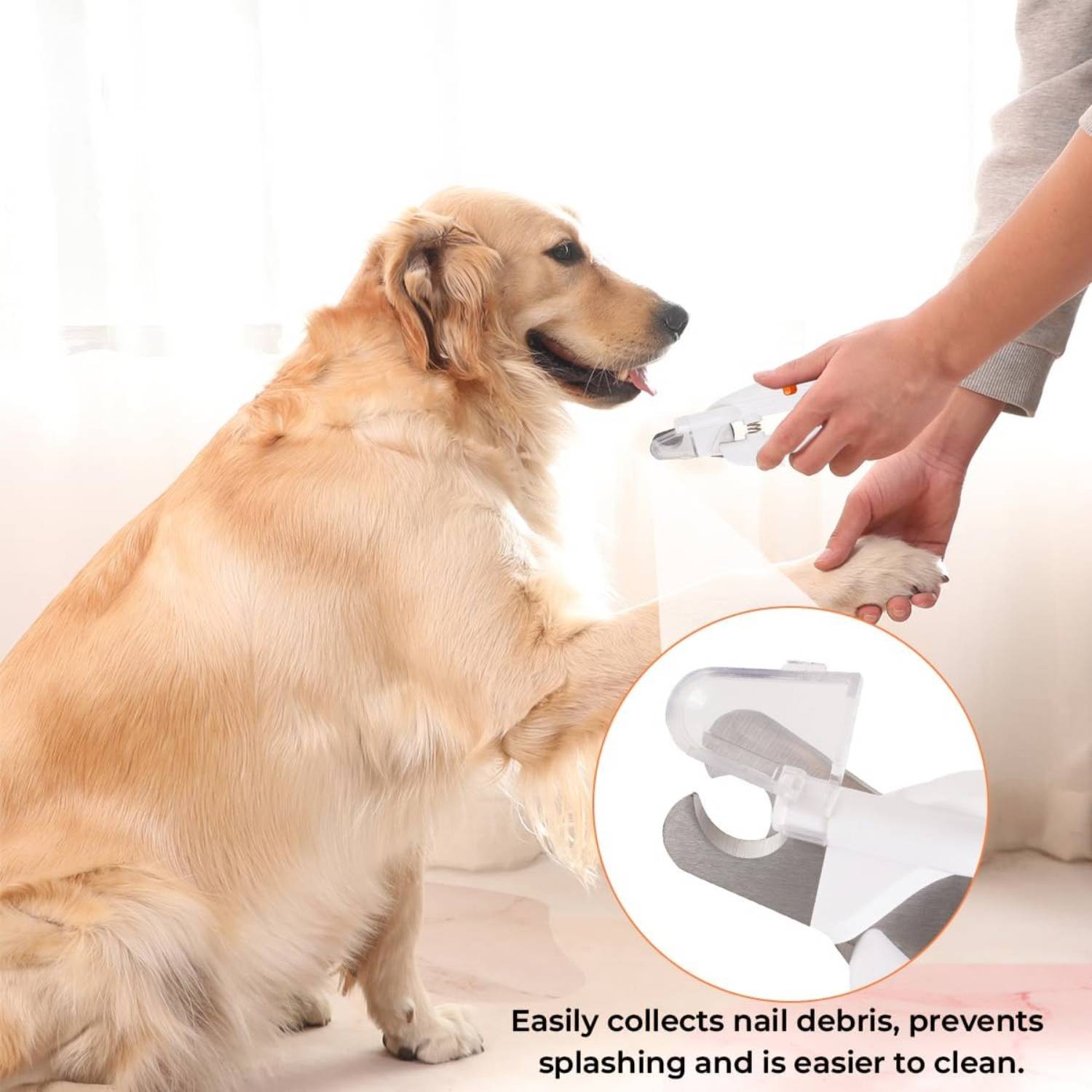 DtopbuyAge - Coupe-Ongles LED pour Chien et Chat - Sécurité et Précision DtopbuyAge - Image 2