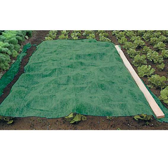 Voile d'hivernage vert 90g-m2 - 1 x 25m - Imagen 1