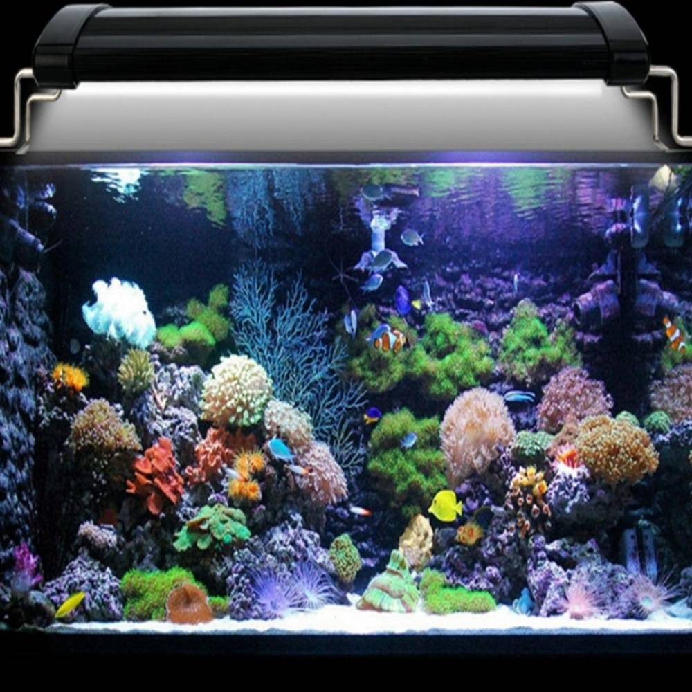 IntiMeg - Lampe LED pour aquarium et corail IntiMeg - Image 3