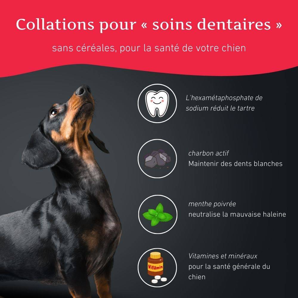 Wildfang - Wildfang - Forfait « Heure du matin » - pour chiens de taille moyenne jusqu'à 25 kg - Image 9