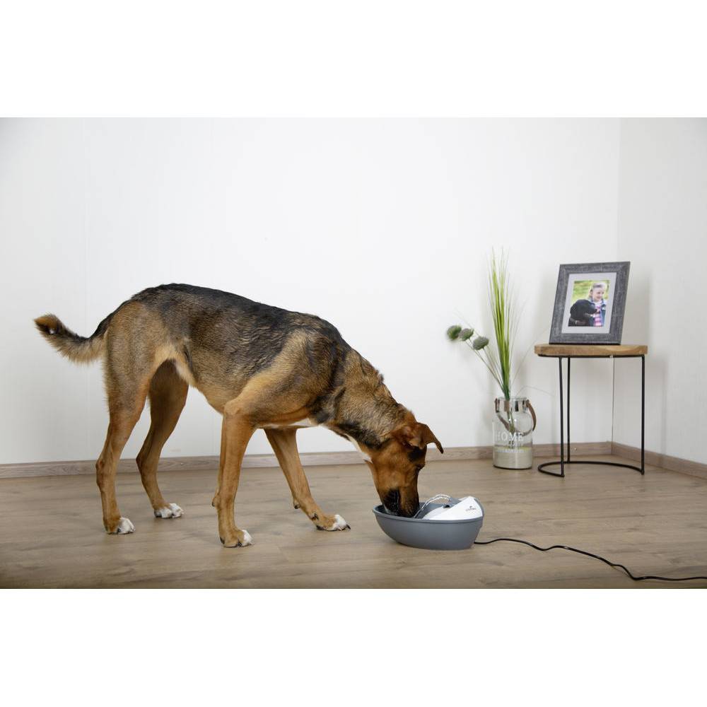 Fontaine EYENIMAL Classic Pet 1,75 l pour petit chien et chat - Imagen 6