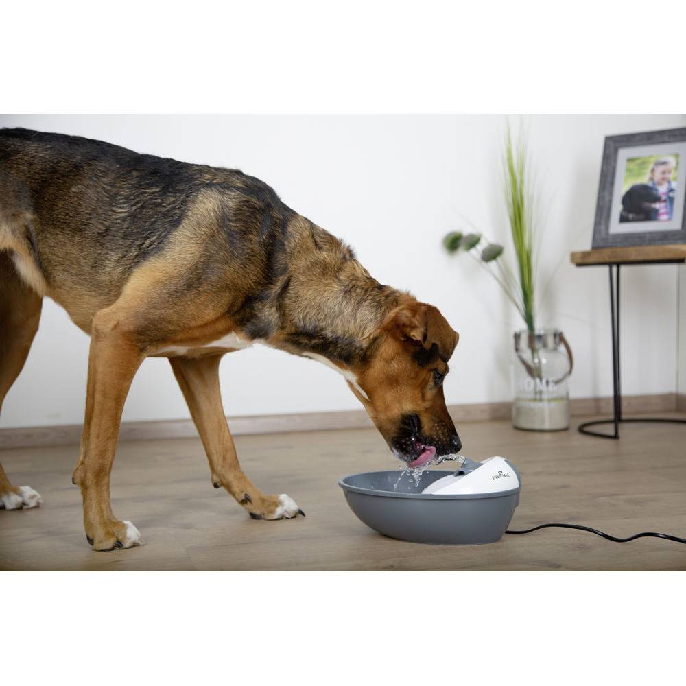 Fontaine EYENIMAL Classic Pet 1,75 l pour petit chien et chat - Imagen 4