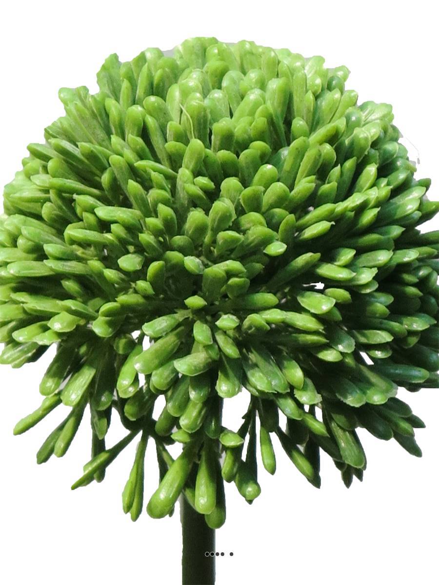 Artificielles - Allium artificiel en tige H 45 cm Vert - BEST - couleur: Vert - Imagen 3