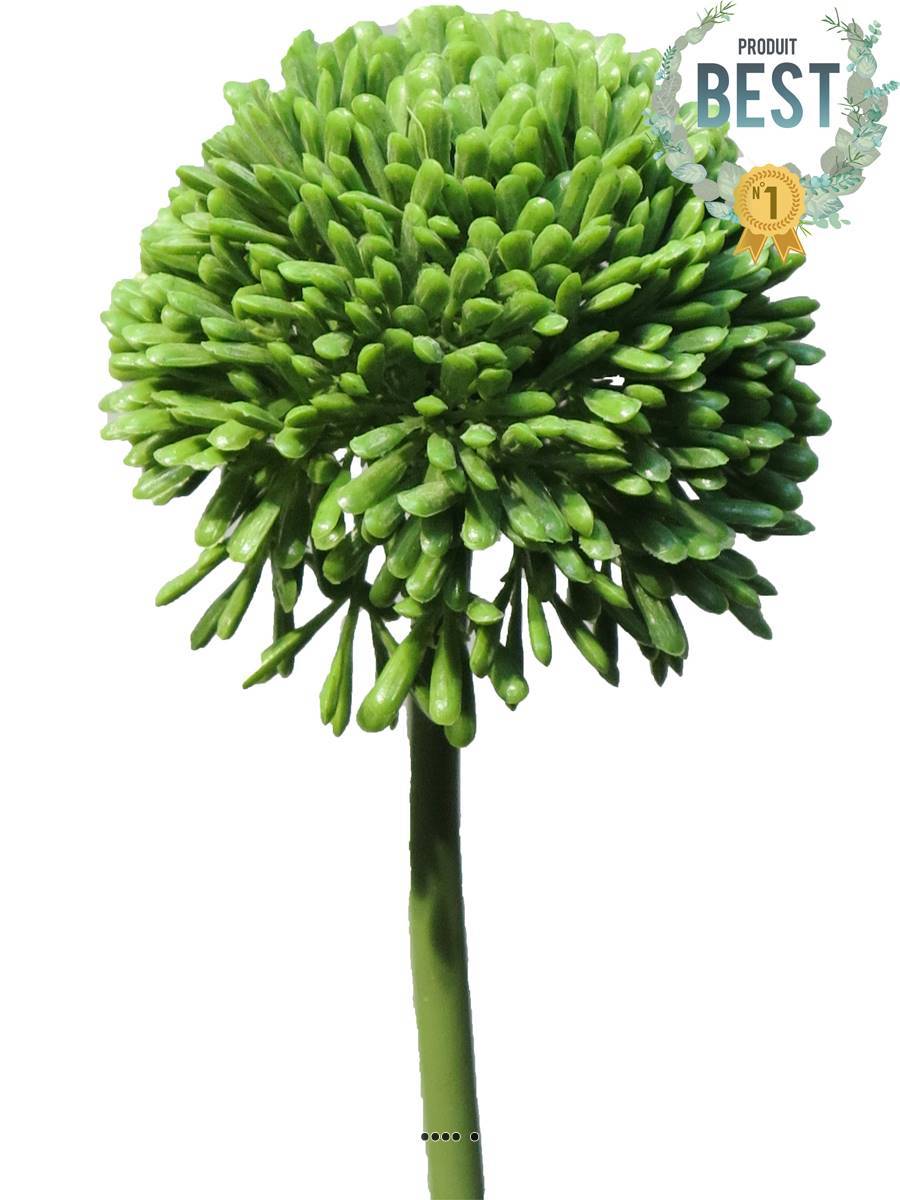Artificielles - Allium artificiel en tige H 45 cm Vert - BEST - couleur: Vert - Imagen 1