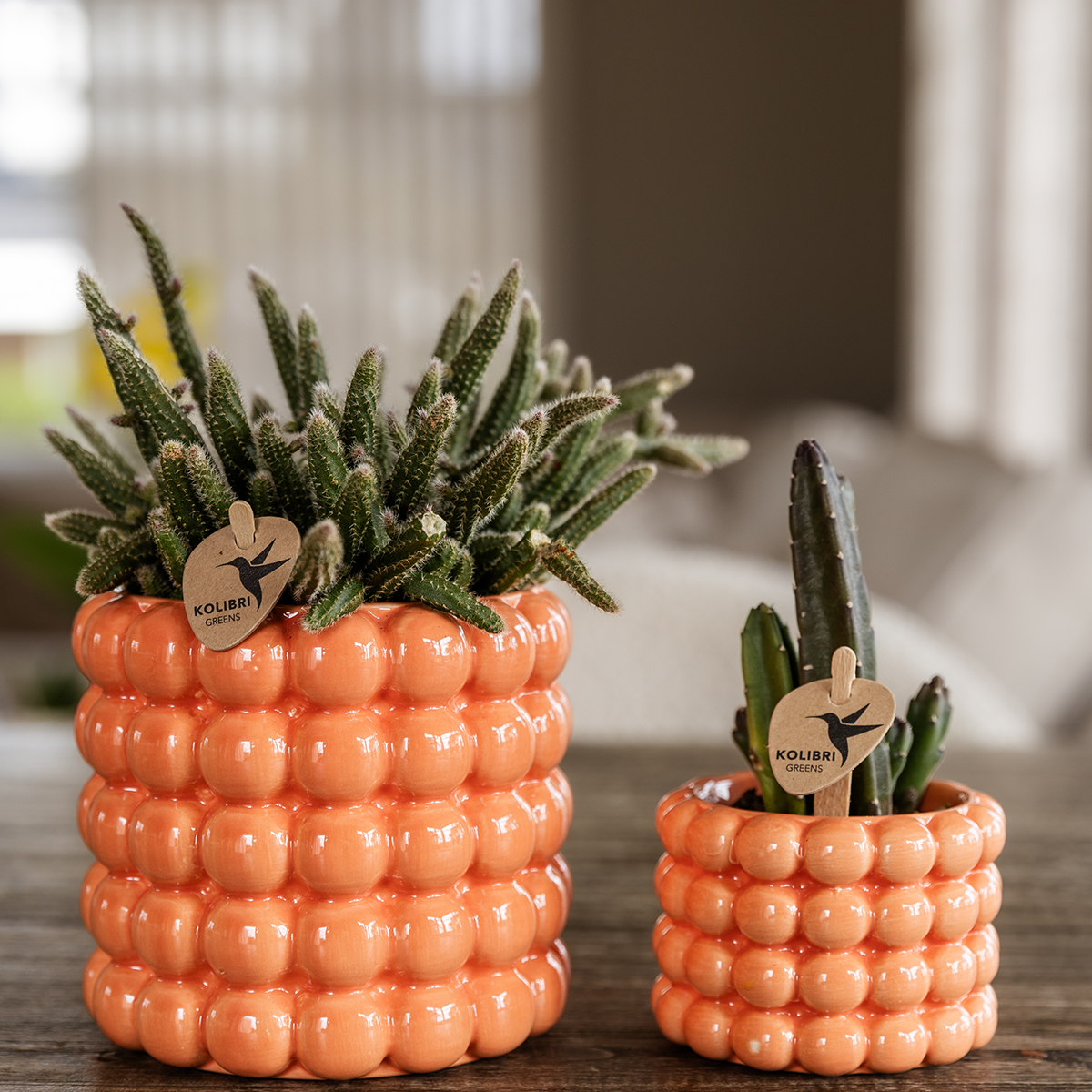 Cache-pot céramique - rondeurs colorées et gaies - Pot de 9cm - orange - Image 5