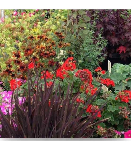 Terreau engrais fleurissement, sac de 50 l, plantes vivaces et annuelles - PRO413 - Image 3