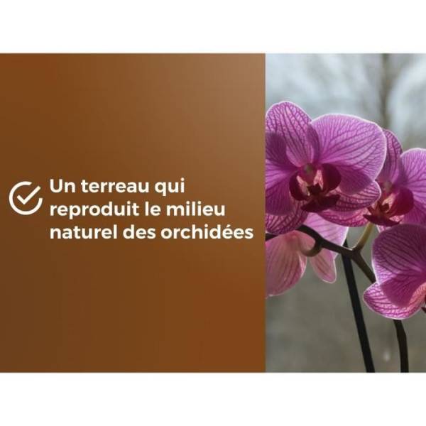 Or Brun - Terreau Orchidées Uab 6 L / Nc - Or Brun - Image 4