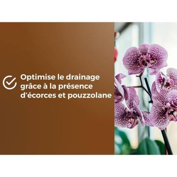 Or Brun - Terreau Orchidées Uab 6 L / Nc - Or Brun - Image 6