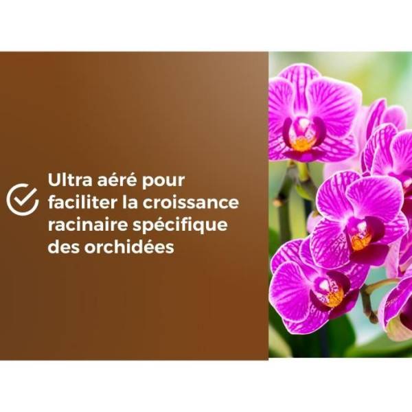 Or Brun - Terreau Orchidées Uab 6 L / Nc - Or Brun - Image 5
