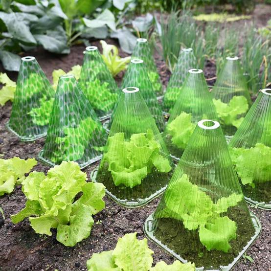Lot de 20 cloches de jardin réutilisables - Protection gel & escargots - 22x19,5 cm - Living123 - Image 4