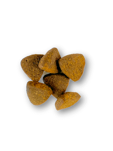 Croquettes chien adulte holistic sans céréales - Saumon d'Ecosse - 12 Kg - Image 3