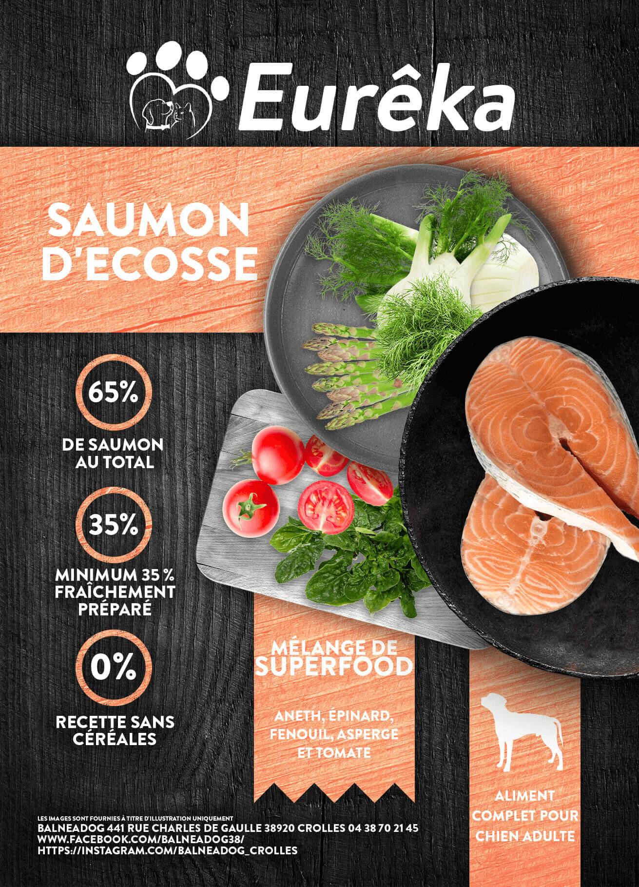 Croquettes chien adulte holistic sans céréales - Saumon d'Ecosse - 12 Kg - Image 2