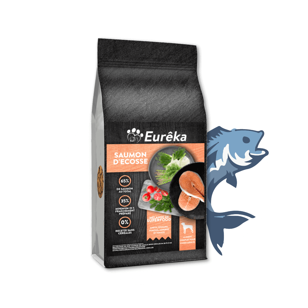 Croquettes chien adulte holistic sans céréales - Saumon d'Ecosse - 12 Kg - Image 1