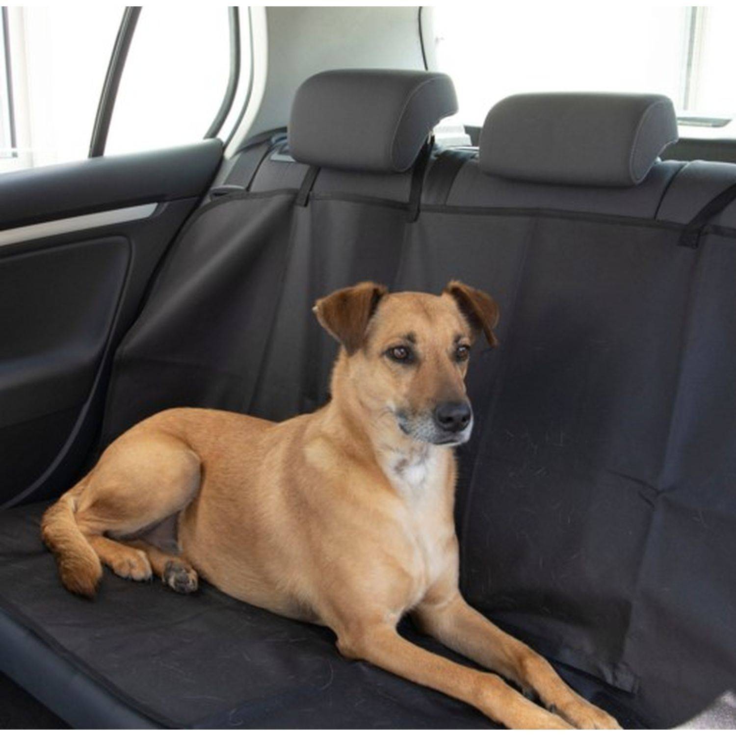 Love Story - Protection de siège de voiture pour chien - Love Story - Image 3