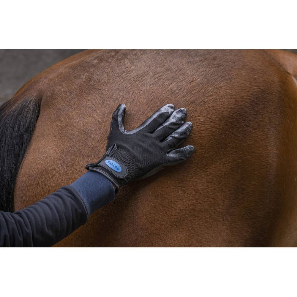 Gant de pansage anti-mue noir - Imagen 3