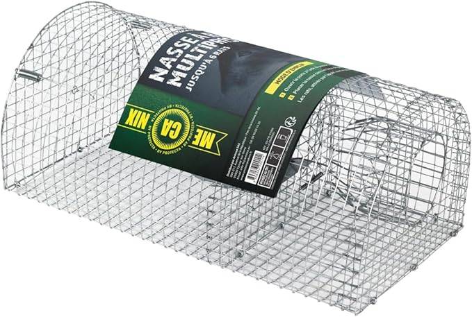 Sitemapcdatahttpswwcinfbizidpiege A Rat Jardiland