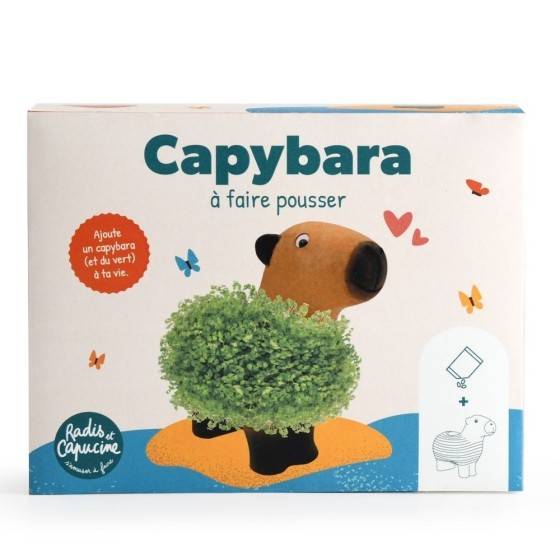 Radis et Capucine - Radis et Capucine - Capybara terre cuite poreuse avec graines de chia - Image 1