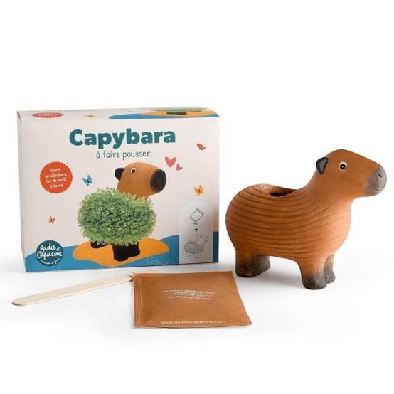 Radis et Capucine - Radis et Capucine - Capybara terre cuite poreuse avec graines de chia - Image 2