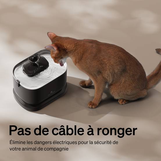 Petlibro Fontaine à eau Dockstream avec batterie Noir - Image 2
